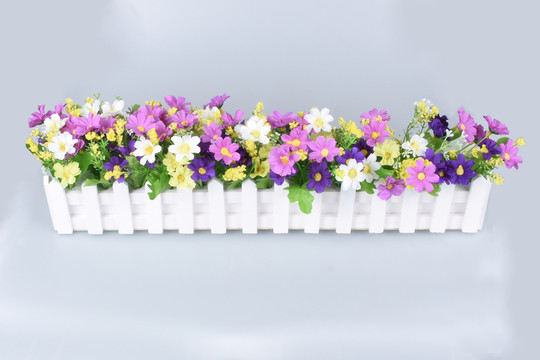 漂亮花兒 花朵