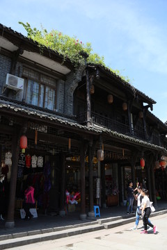 古樓生機(jī)