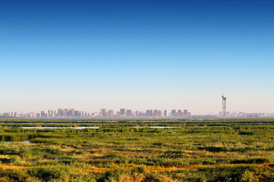 大慶 濕地景色