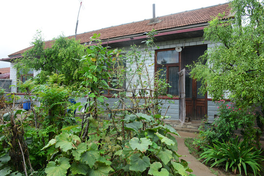 農(nóng)家小院