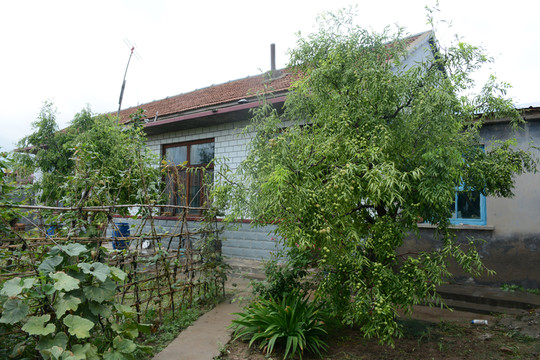 農(nóng)家小院