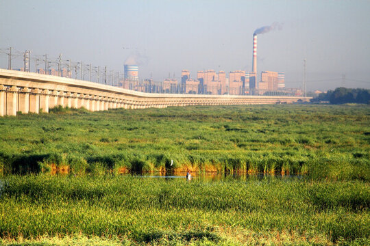 大慶 濕地 高架橋 高速鐵路