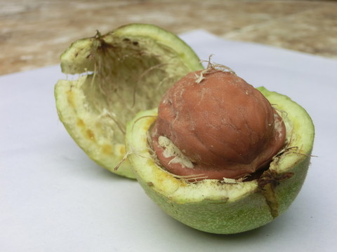 青皮核桃