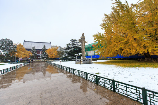 北京大學(xué)辦公樓華表雪景