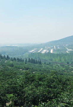 廠區(qū)風景  廠房建筑  廠貌
