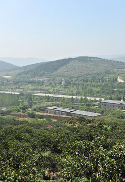 廠區(qū)風(fēng)景  廠房