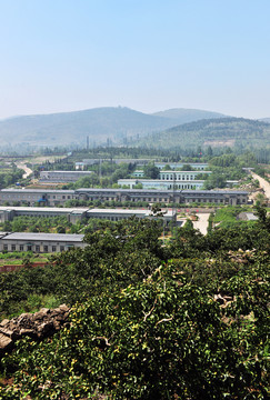 城區(qū)風(fēng)景  廠區(qū)風(fēng)景  廠房