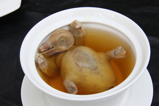滋補乳鴿湯
