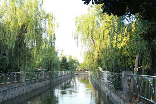 園林景色