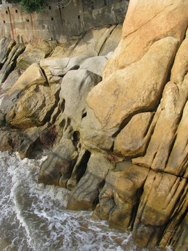 海岸