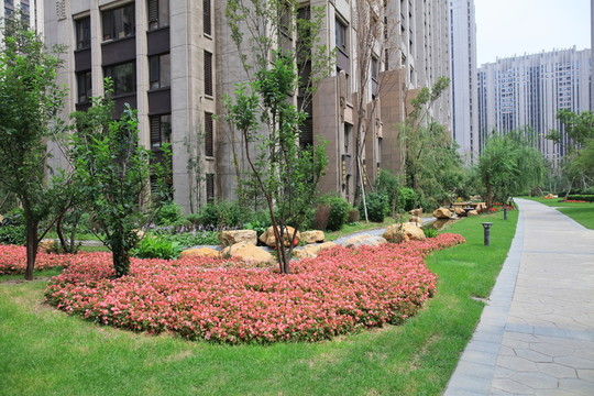 小區(qū)綠化