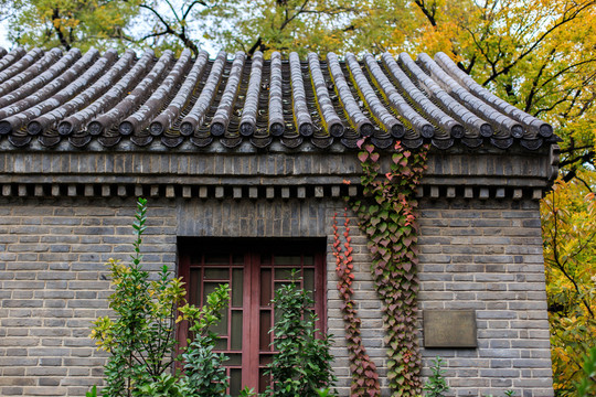 北京大學(xué)燕南園56號(hào)周培元故居