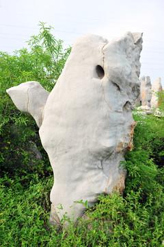 觀賞石 石頭藝術(shù) 景觀石