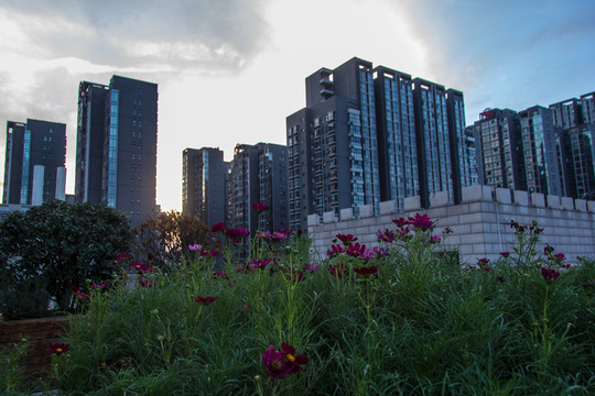 大唐西市住宅區(qū)