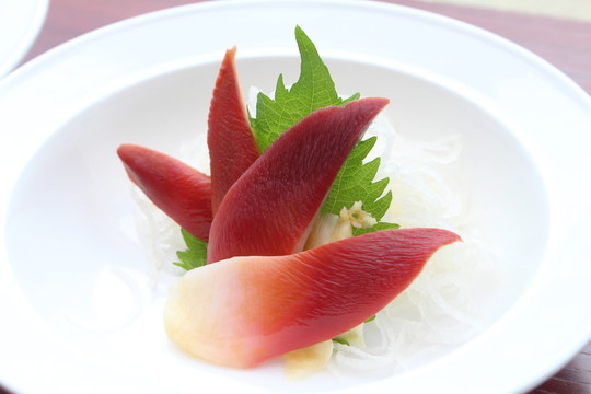 北極貝