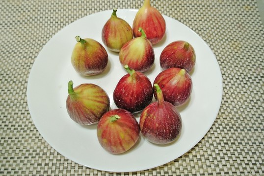 無花果素材 紅皮