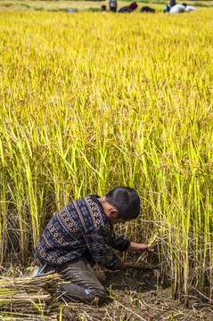 農(nóng)村小孩