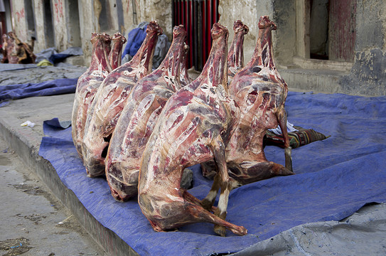 羊肉
