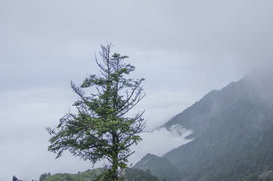 九峰山
