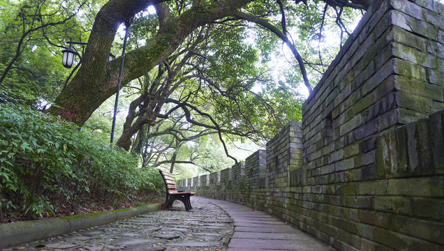 DSC01022公園長(zhǎng)椅