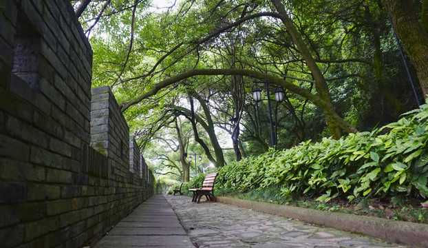 DSC01024公園長(zhǎng)椅