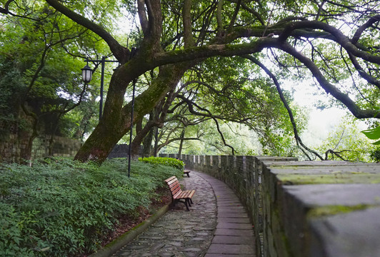 DSC01019公園長椅