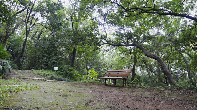 DSC01039公園長(zhǎng)椅