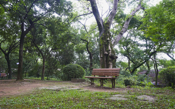 DSC01041公園長(zhǎng)椅