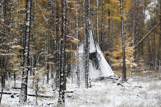樹林