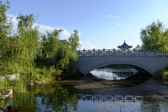 橋