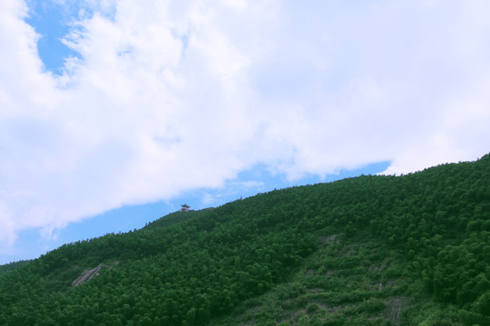 山頂 藍(lán)天 仰望