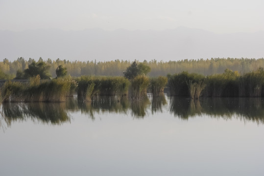 湖
