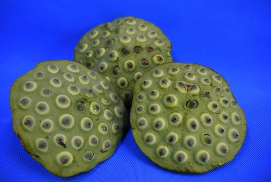 蓮蓬