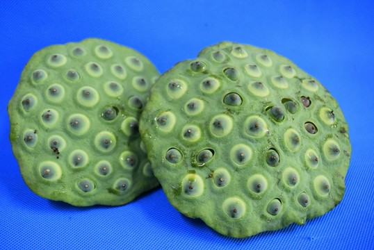 蓮蓬