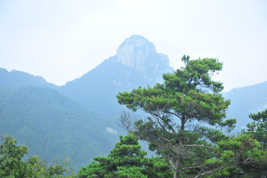 蒙山風(fēng)景 大山風(fēng)景 秀美蒙山