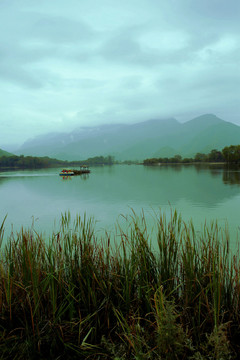 湖水 蘆葦 神農(nóng)架大九湖