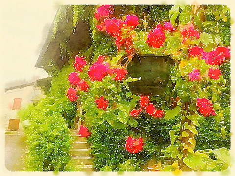 鮮花水彩畫(huà)