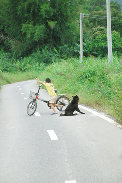 小孩與狗