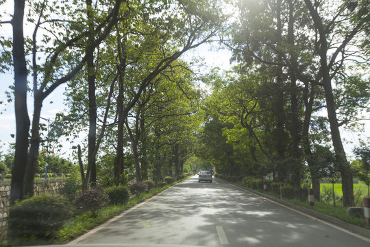 鄉(xiāng)村道路