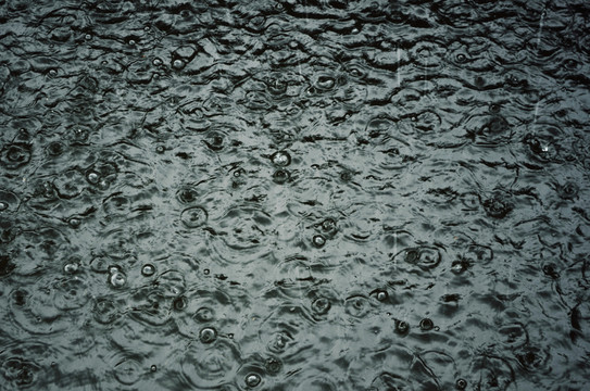 雨點雨滴