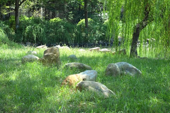 公園一角