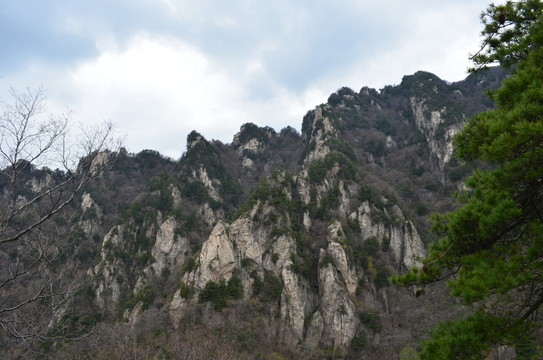 遠山