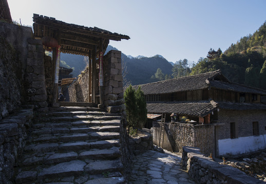 茶園坑