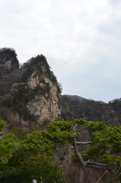 遠(yuǎn)山