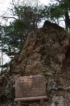 節(jié)理