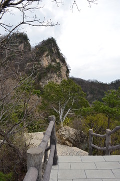 遠山
