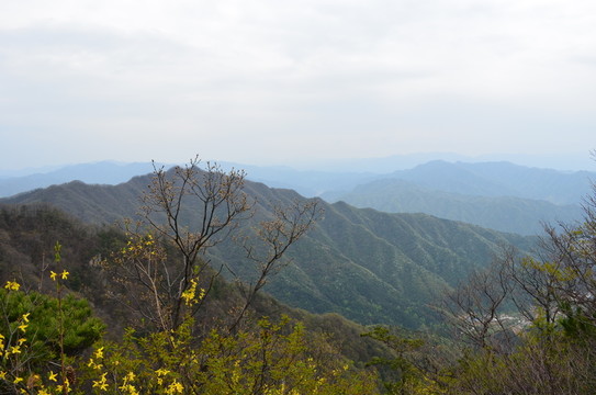 遠(yuǎn)山
