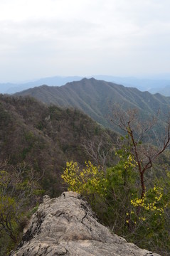 王順山