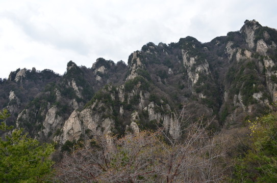 王順山