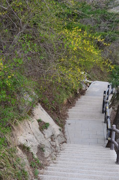 棧道